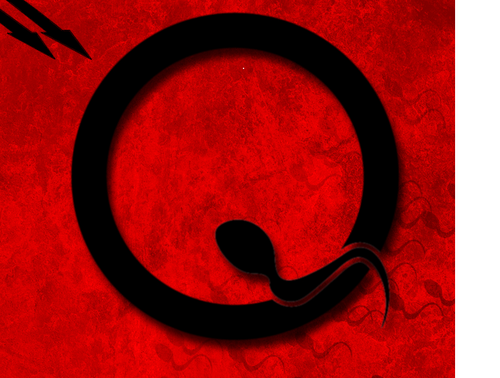 hollythetout's profile picture. 