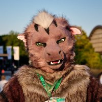 Tagir (@tagirdragon) 's Twitter Profile Photo