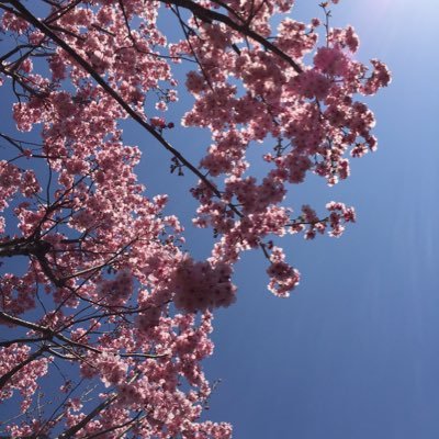 w_lcb_'s profile picture. フランス語で青い猫 青猫とでも呼んで下さい 早稲田大; Wathematica; Waseda Association of Debaters; フランス語; ヴァイオリン; 数学; プログラミング; 社会科学; 文学; 哲学