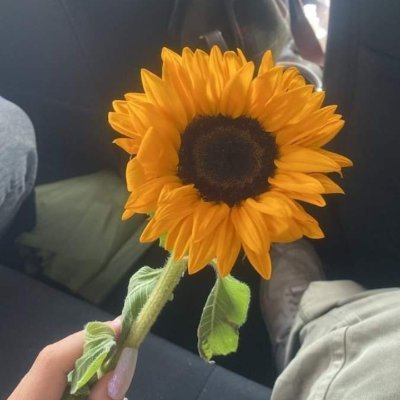 candidatarami's profile picture. mmm