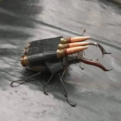 drowsy_ass_bird's profile picture. 