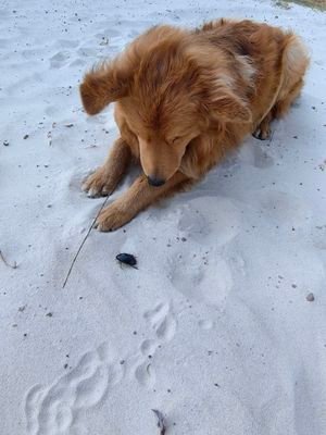 AndrChe888's profile picture. 