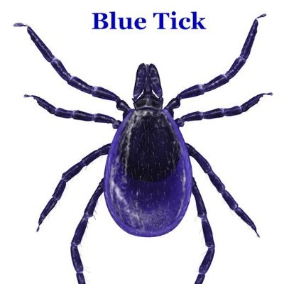 JustDave1955's profile picture. Grumpy old bugger