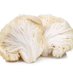 Lush Pickin's Mushroom Farm (@lushmushfarm) Twitter profile photo Lush Pickin's Mushroom Farm (@lushmushfarm) Twitter profile photo