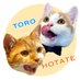 ほたて と とろ (@hotate0704) Twitter profile photo