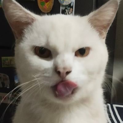 Private_Pengu1nさんのプロフィール画像