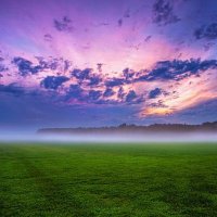 Pro Current Thing (@_greenandpurple) Twitter profile photo