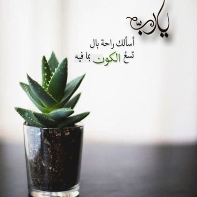 اللّهم إنّي أعوذ بك من جار السوء في الدار المقامة ، فإن جار البادية يتحول