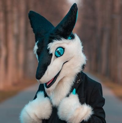 Jake the Sergal 🧀🛩さんのプロフィール画像