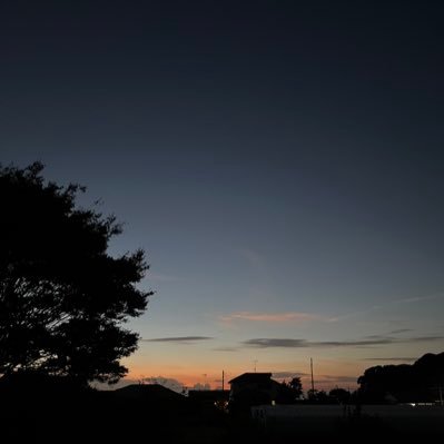 I1ku4PAwuP386's profile picture. 