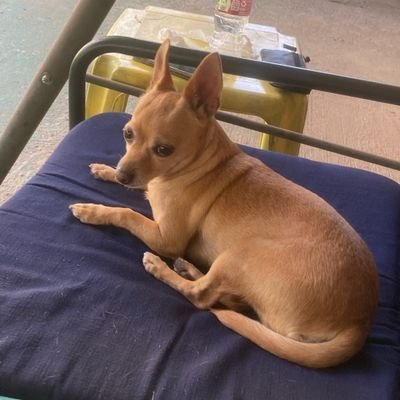 whutsup9's profile picture. Mom,Grandmother, Great Grandmother, Great Great Grandmother.retired Artist, proud Maga.Patriot. Pro Life, I vote Trump! NO CRYPTO  NO PORN !NO DMS! NO TRAINS!