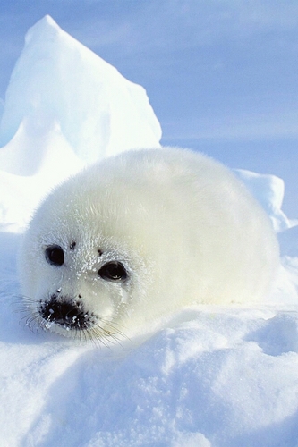 yetsalang's profile picture. 육두문자 써가며 막말 하시는 분들은 살포시 언팔 갑니다./상업용(광고도배)트윗 언팔/말만 잘하는 사람들 정말 싫다/그말에 속는 사람들은 더 싫다/언행일치/최근 관심사: Finger Style Guitar 연주/Masaaki kishibe