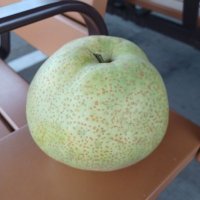 まりも🍋 (@tomozoh0907) 's Twitter Profile Photo