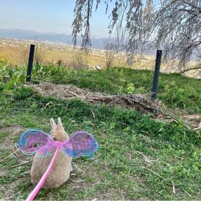 Mr.Children大好きです!F&M会員/既婚/アラフィフ/X初心者🔰無言いいね、フォローすみません/たまにポストします/サンドーム福井8/18/KANさん11/12/ap bank’25 2/16