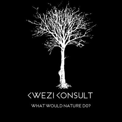 What would nature do?
Helping Individuals, SMEs/MSMEs, Organizations integrate Regenerative concepts towards a robust, equitable and Regenerative future