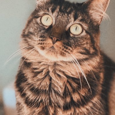 Crystalbabes12's profile picture. 