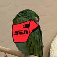 L (@tqleo_) 's Twitter Profile