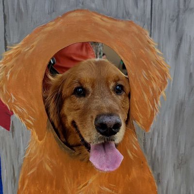 quokkasofyouth's profile picture. Hi it’s me E💤ra , I seldom tweet