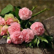 副業の成功法を紹介中。副業を始めてみたい人にお得な情報をお届け。ほんの僅かですが現金給付企画も実施中。 期間限定▶ https://t.co/tO7WmOYycV