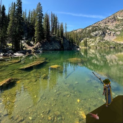 bulbousbilbus's profile picture. 