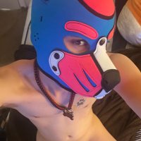 Gizmo 🏳️⚧️ (@pupgizmo08) 's Twitter Profile