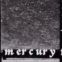 mercury firs (@mercuryfirs) 's Twitter Profile Photo mercury firs (@mercuryfirs) 's Twitter Profile Photo