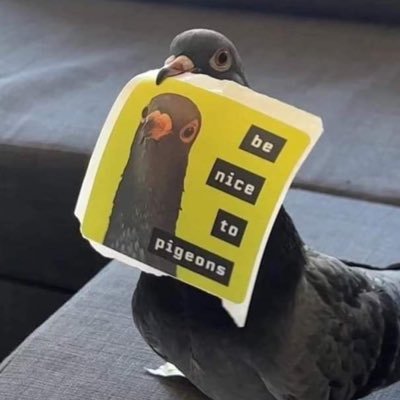 daluspot's profile picture. 지나가세요