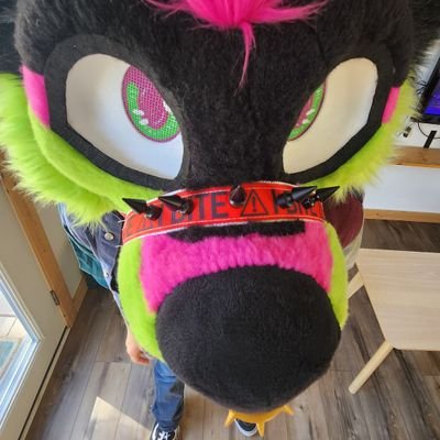 LoveTheGemini25's profile picture. hello I am that one thingy that does things
verse 🫡
•page is 🔞+ minors & zoo's plz DNI•
☆22 🏳️‍🌈☆