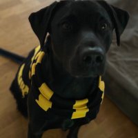 MrPrubert (@mrprubert) 's Twitter Profile