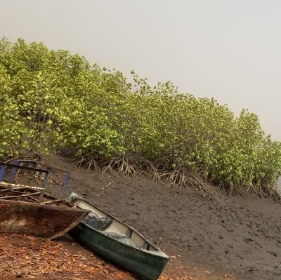 quada111's profile picture. love & humanity