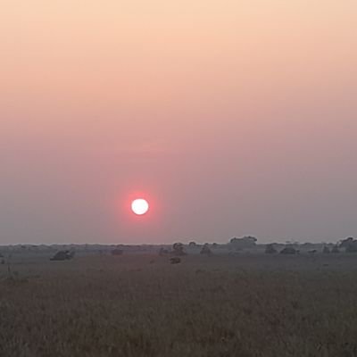 progresista y llanero 100 %
un gallo dura 3 años, 3 gallos dura un perro, 3 perros dura un caballo y un hombre recio del llano dura tres caballos buenos