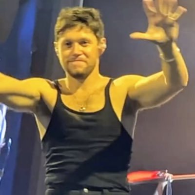 fangirlsslays's profile picture. this is a #niallhoran (and ALL the other 1D boys), #5sos (stay calm) and #taylorswift fan acc