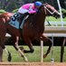 Schwing Thoroughbreds (@schwingtbreds) Twitter profile photo Schwing Thoroughbreds (@schwingtbreds) Twitter profile photo