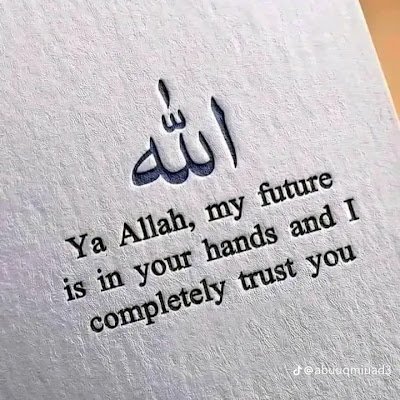 Abdulka5364581's profile picture. 