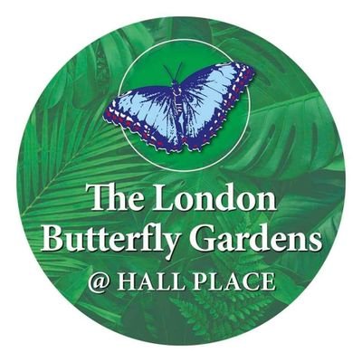 @LondonButterfly