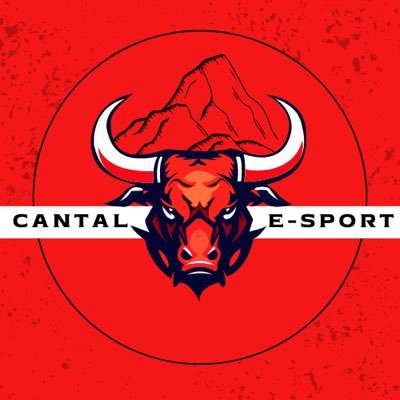 le premier club de esport du cantal ! rejoins nous pour vivre ta passion