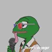 _sstormxvoyage's profile picture. Trade nfts. raise money. save the environment. wildcards are always for sale conservation nfts, built using ethereum.