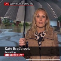 Kate Bradbrook (@katebradbrook) 's Twitter Profile