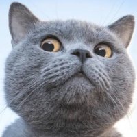Serhat (@realmardinly) 's Twitter Profile Photo Serhat (@realmardinly) 's Twitter Profile Photo