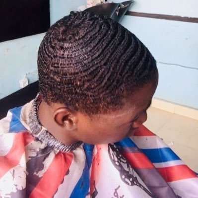 gdala056's profile picture. pássaros da mesma espécie voam juntos 🌕🌔🌓🌒🌚