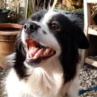 Andrew Higgs (@macheath1) 's Twitter Profile