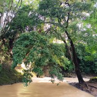 By the River 🇨🇷 (@river_byverne) 's Twitter Profile Photo