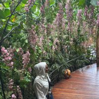 Shaikha alkhalfan (@shaikha65x_) 's Twitter Profile