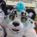 Zeru 🔜 NFC (@zerusnep) Twitter profile photo Zeru 🔜 NFC (@zerusnep) Twitter profile photo