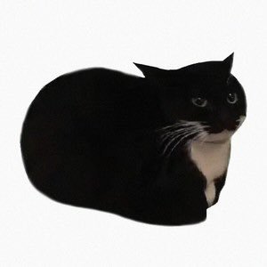 CAT - Maxwell The Cat CTO (@MaxwellCatToken) / X