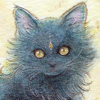 琴月リュウ🐱さんのプロフィール画像
