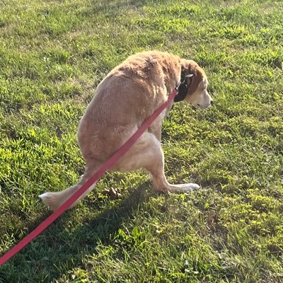 DoubterofAll's profile picture. 