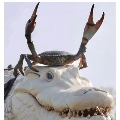 henriquefg_bh's profile picture. Humano 🇧🇷