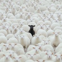 Kawuke (@gcwalumuzi_) 's Twitter Profile Photo