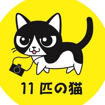 のびねこ 111匹 緊急拡散のお願い】 ペルシャ猫チンチラ111匹多頭飼育崩壊